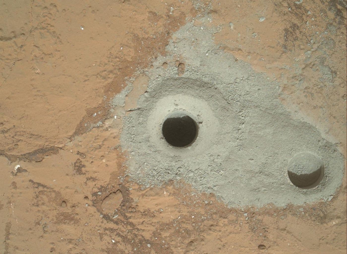 Curiosity selfie